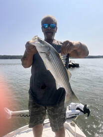 ROCKFISH ARE HERE NOW !!!!