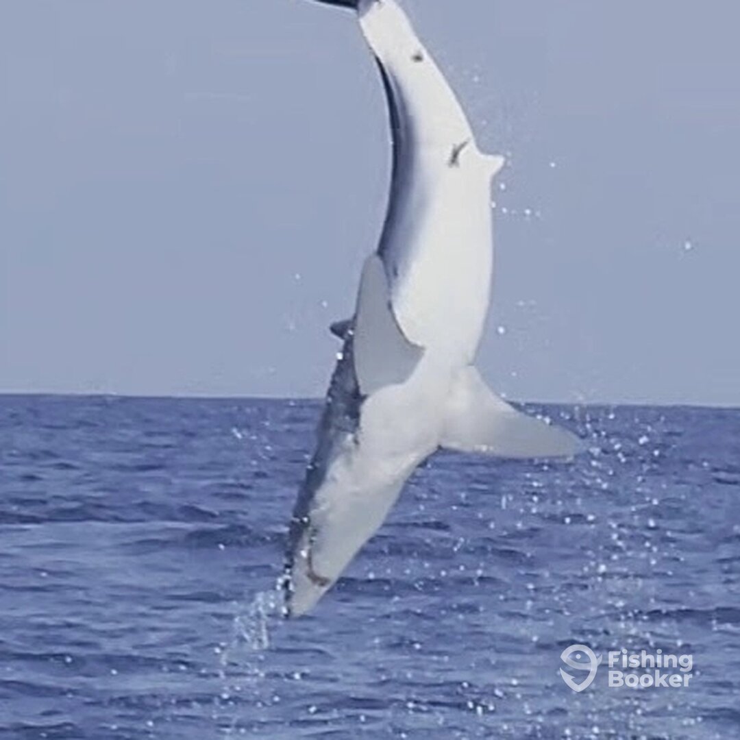 San Diego Report Photo 0