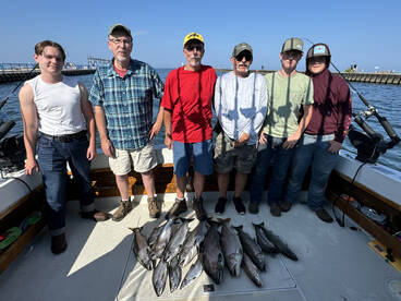 South Haven Report Photo 3