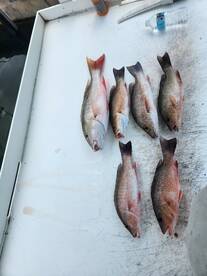 Summerland Key Report Photo 1