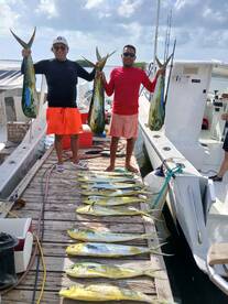 Its mahi season here on the island.  Lot