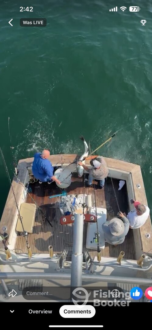 Norfolk Report Photo 0