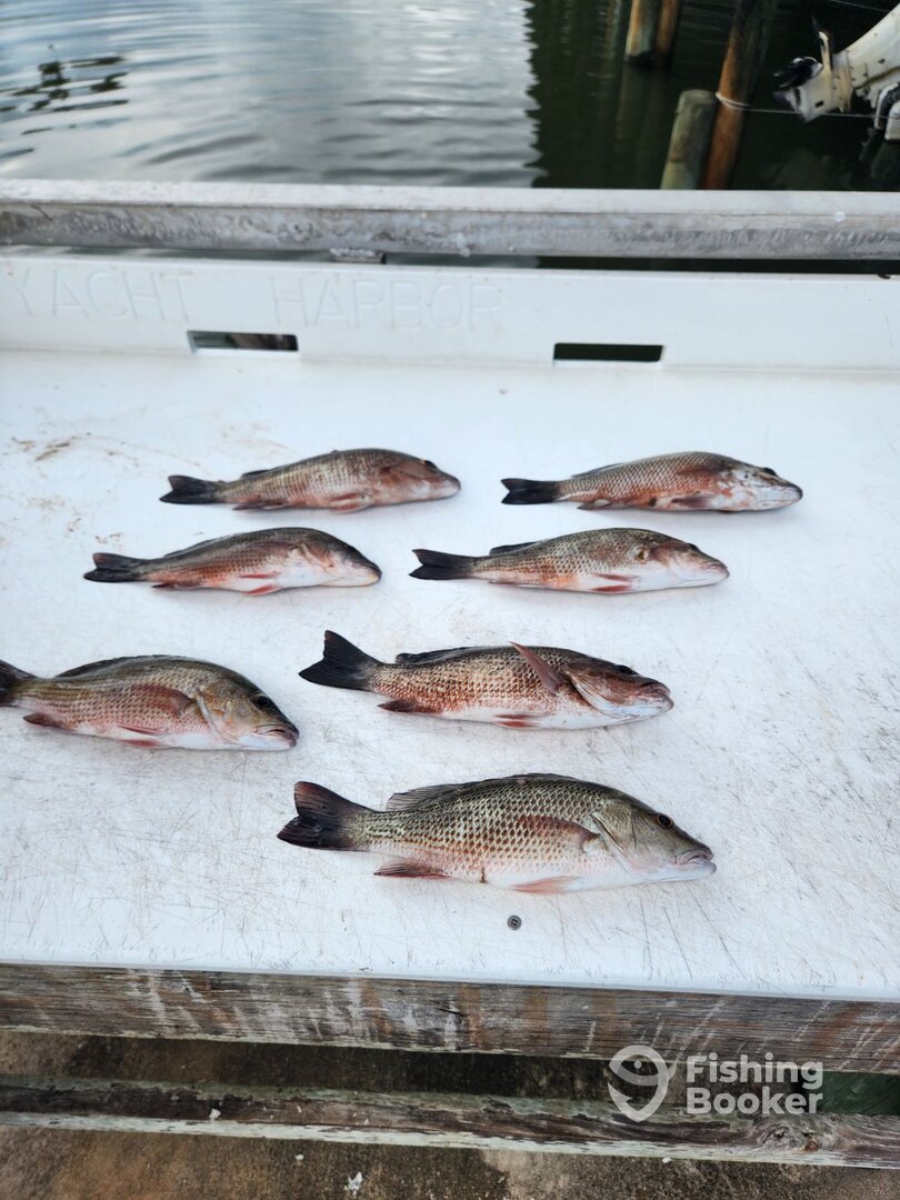 Port Orange Report Photo 0