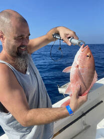 Port Orange Report Photo 1