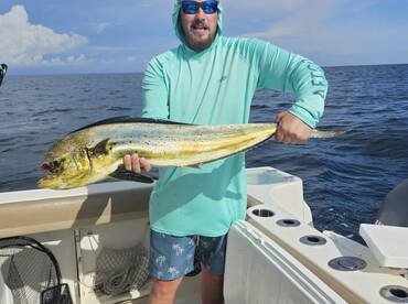 Bigger Mahi are in the area