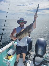 Snappers and Groupers