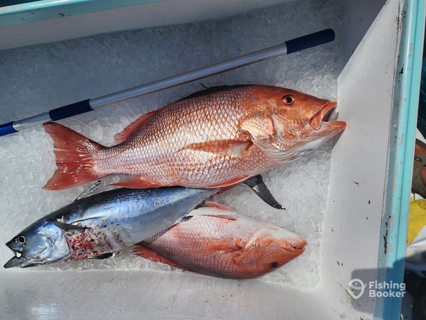 Destin Report Photo 0