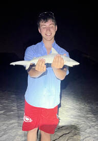 Navarre Report Photo 1