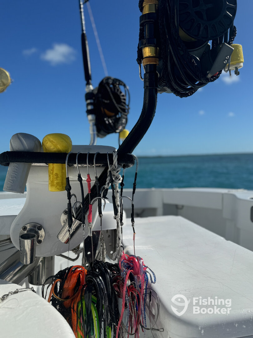 Miami Beach Report Photo 0