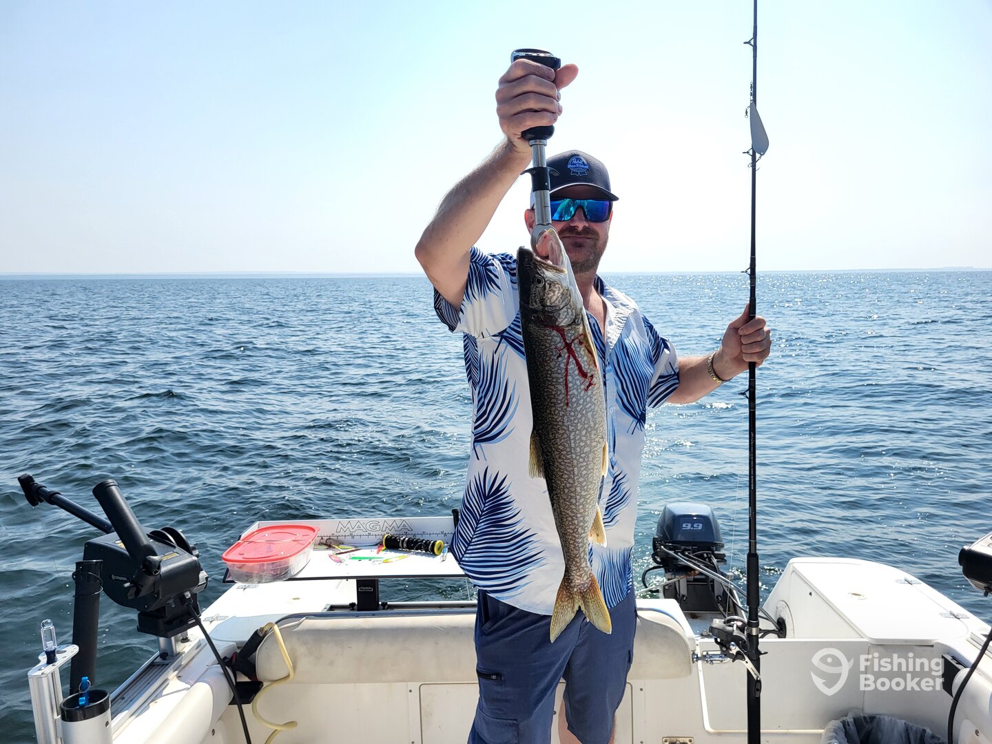 Superior Report Photo 0