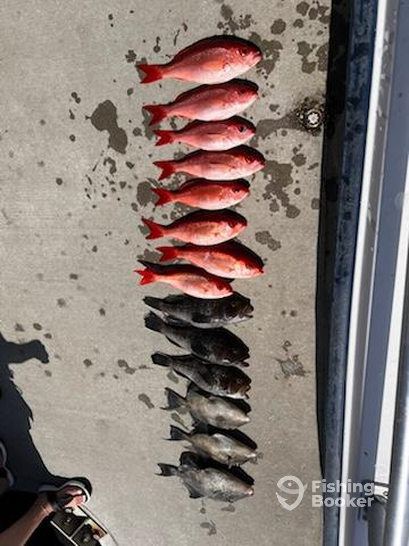 St. Marys Report Photo 0