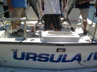 Cabo San Lucas Verslag Foto 2