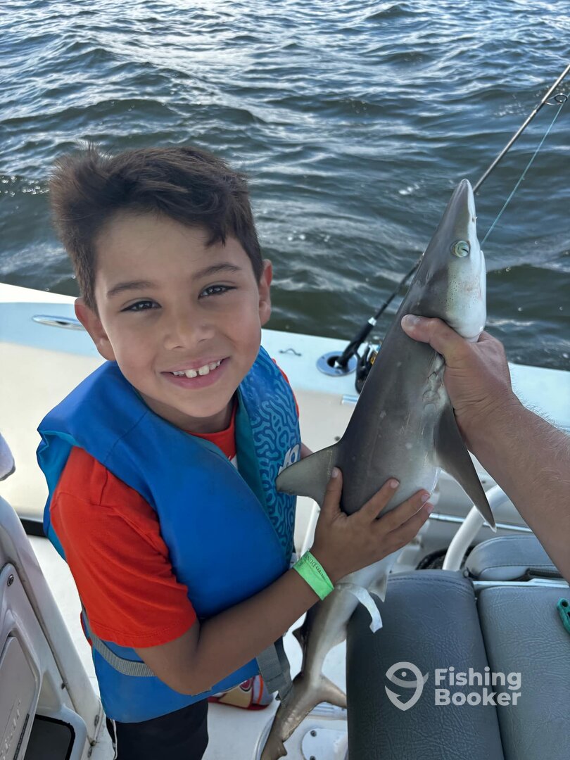 Murrells Inlet Report Photo 0