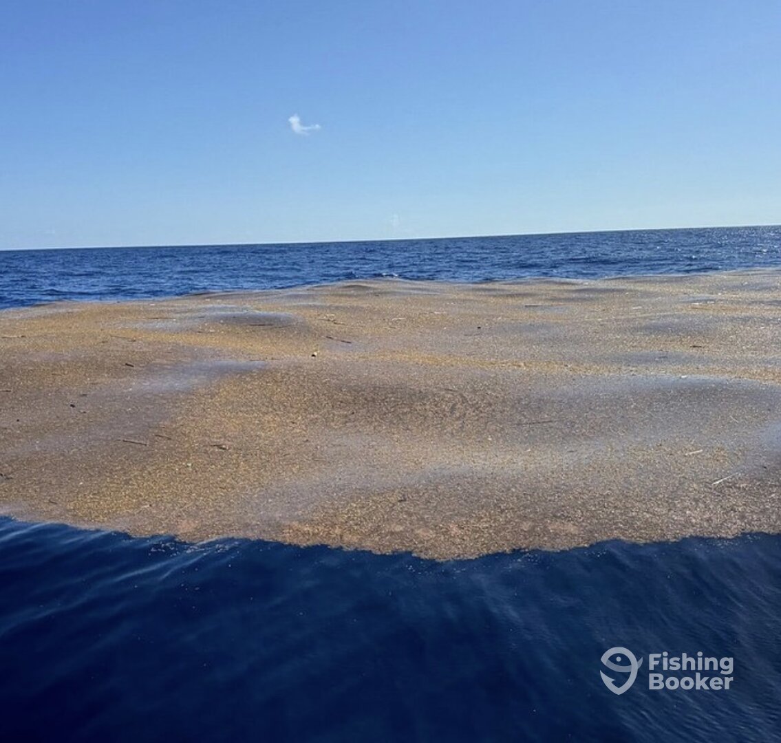 Punta Cana Report Photo 0