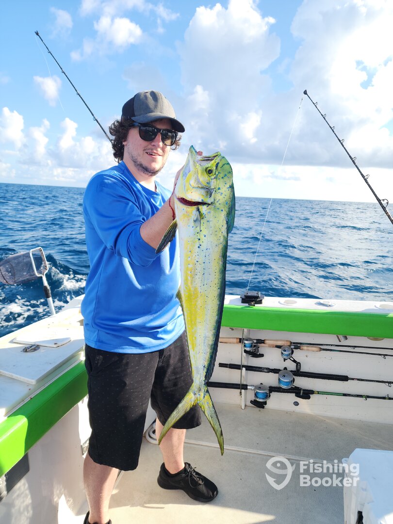 Port Orange Report Photo 0