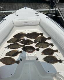 Cape May Report Photo 1