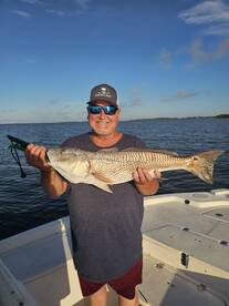 Redfish spawn is in full swing 