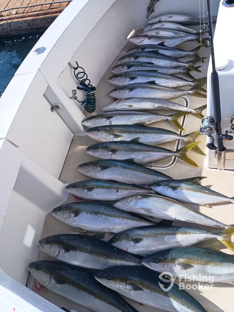 San Diego Report Photo 0