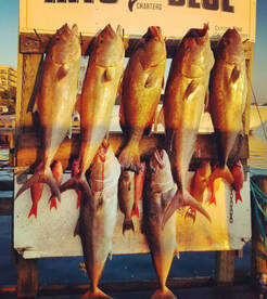 Foto Report Destin 2