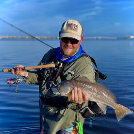 Palmetto Report Photo 1