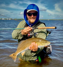 Palmetto Report Photo 2