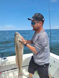 Virginia Beach Report Photo 2