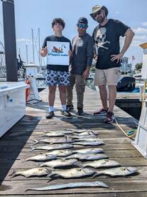 Norfolk Report Photo 2