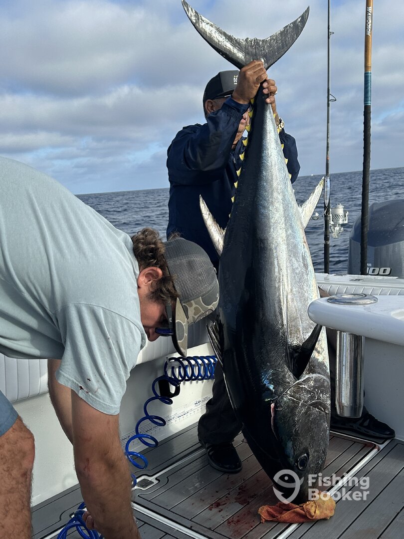 Huntington Beach Report Photo 0