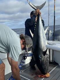 Fishing is as good as it gets right now!