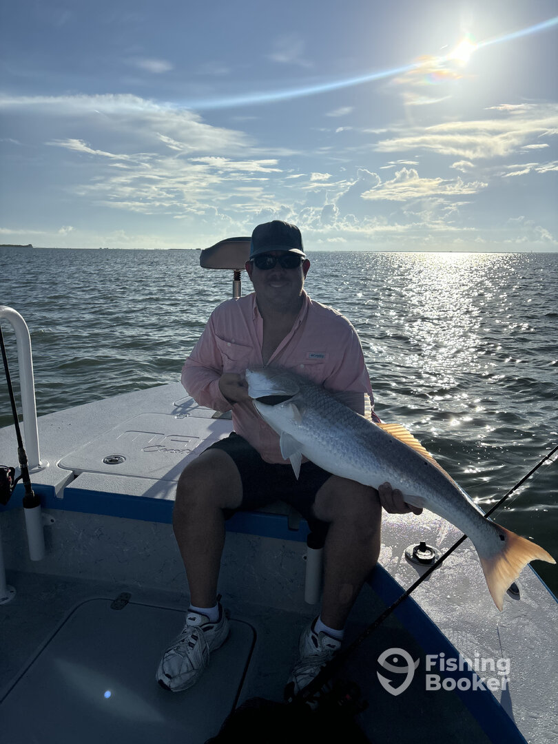 Corpus Christi Report Photo 0