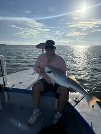 Running of the Bulls