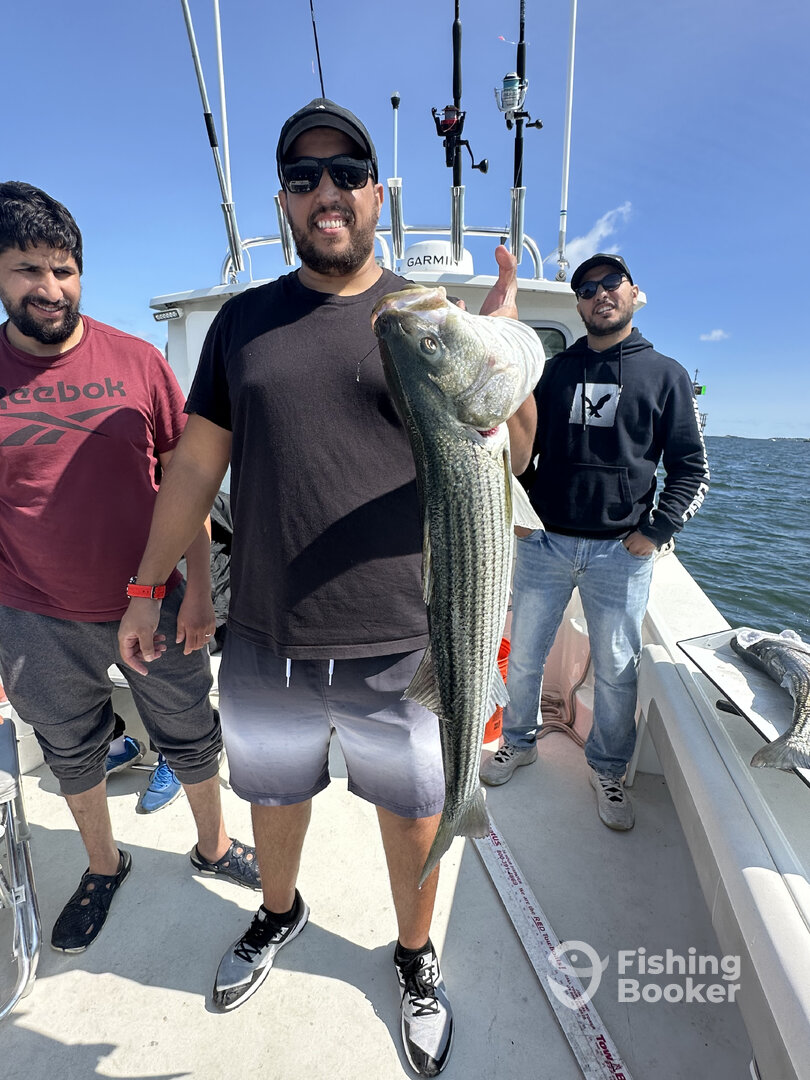 Salem Report Photo 0