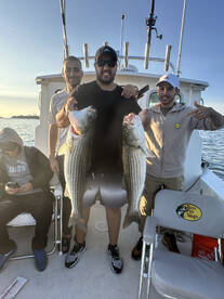 Salem Report Photo 1