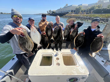 LIMITS OF HALIBUT AGAIN!