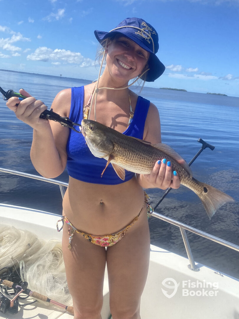 Punta Gorda Report Photo 0