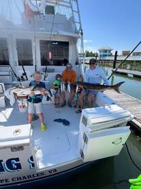 Cobia are still here its tome to book yo