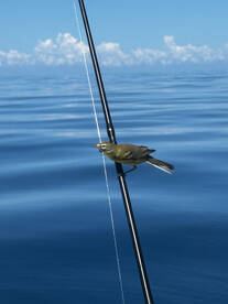 Mother Nature gave use a beautiful weeke