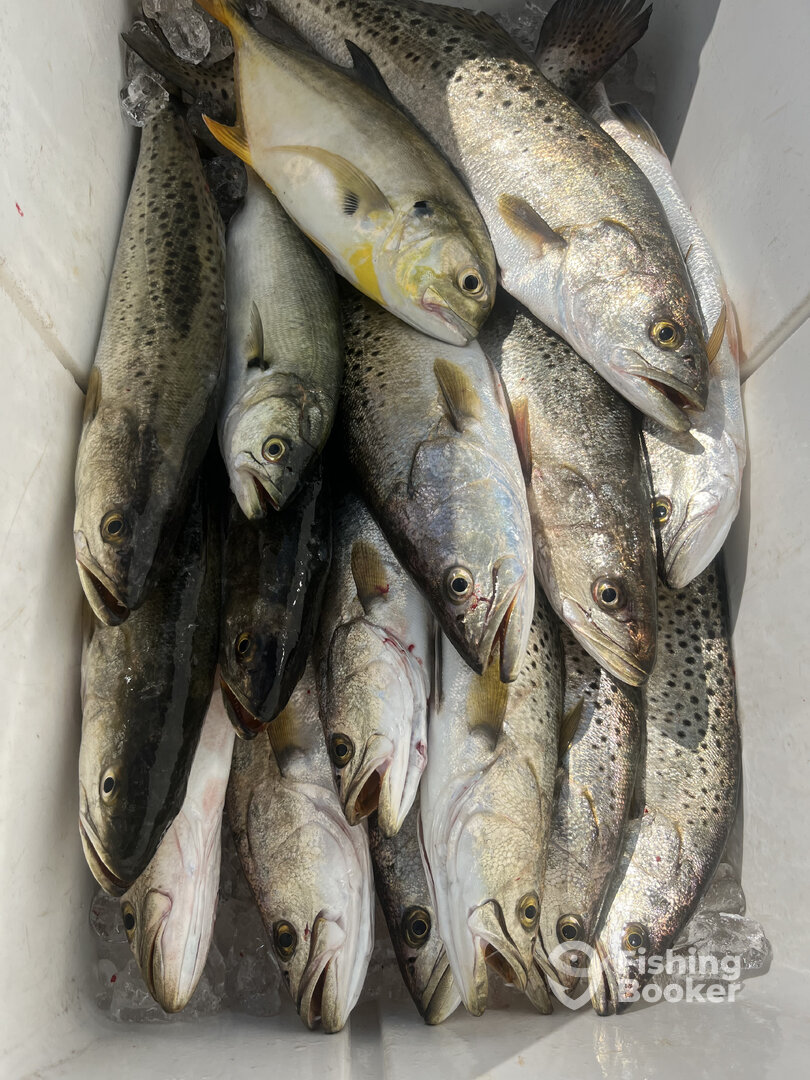 Nags Head Report Photo 0