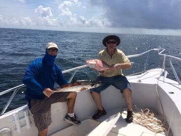 Kings and State water snapper 