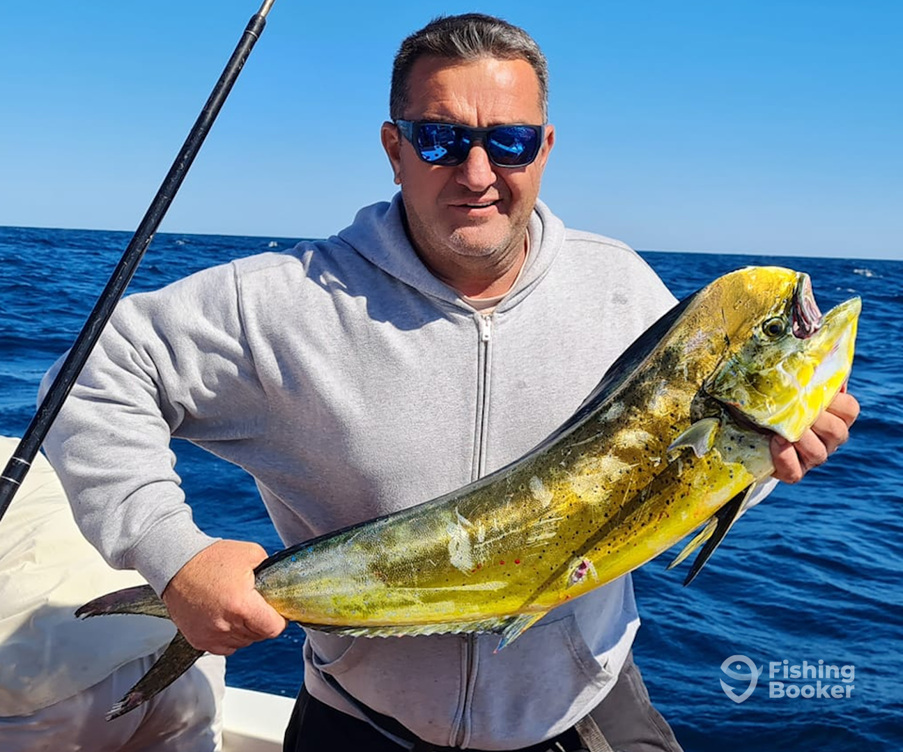 Sydney Report Photo 0