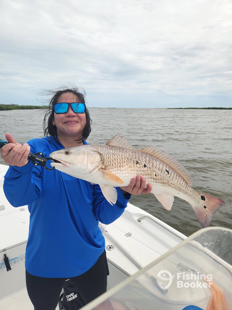 Empire Report Photo 0