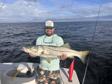 Hot weather and Hot bite!