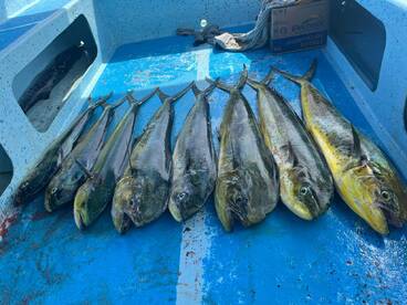 Mahahual Report Photo 1