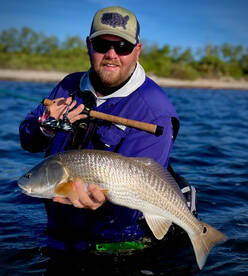 Palmetto Report Photo 1