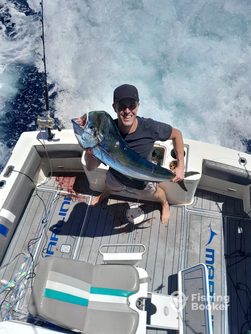 Cabo San Lucas Report Photo 0