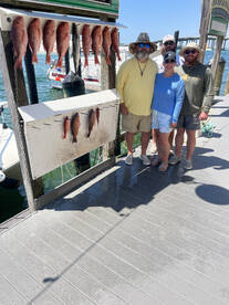 ‘24 Fall Red Snapper