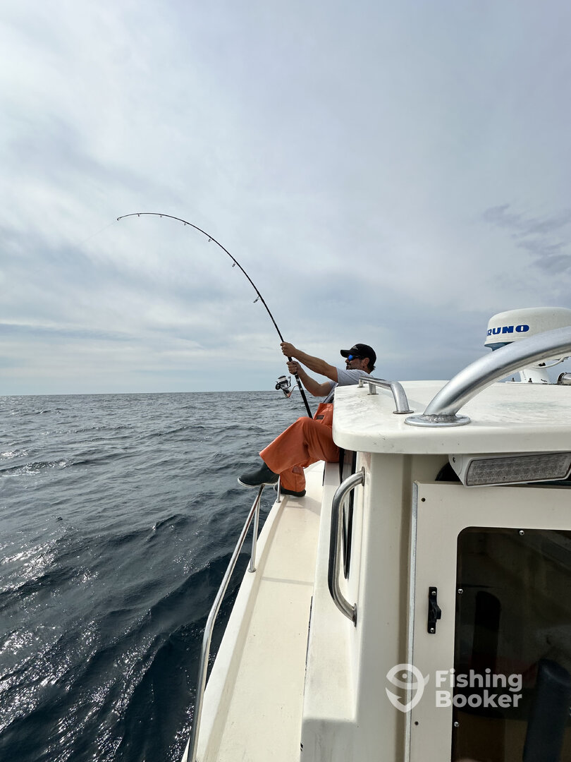 Montauk Report Photo 0