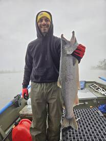 Palmer Report Photo 1