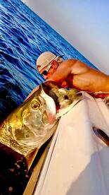 World class dream fish!!!!