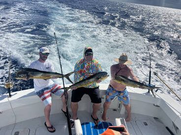 San Miguel De Cozumel Report Photo 2